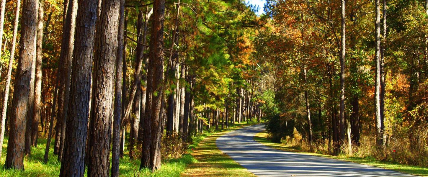 Three Rivers State Park