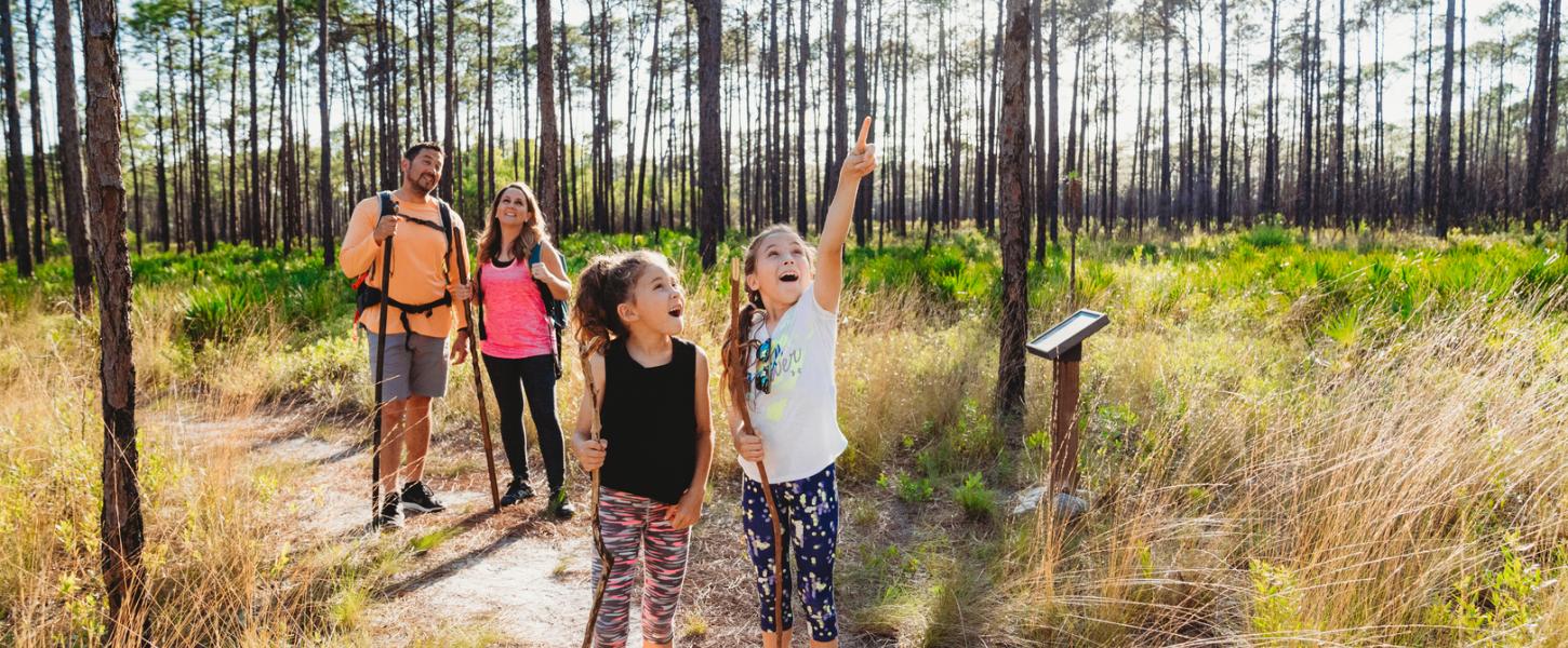 Family walking through the trails and observing something overhead