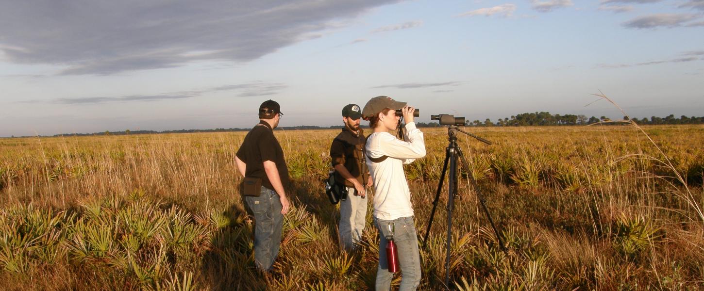 Prairie viewed by three visitors