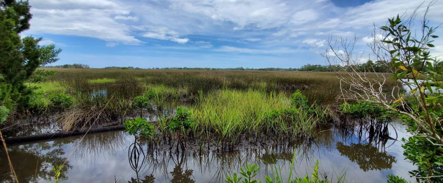 Crystal River Preserve State Park