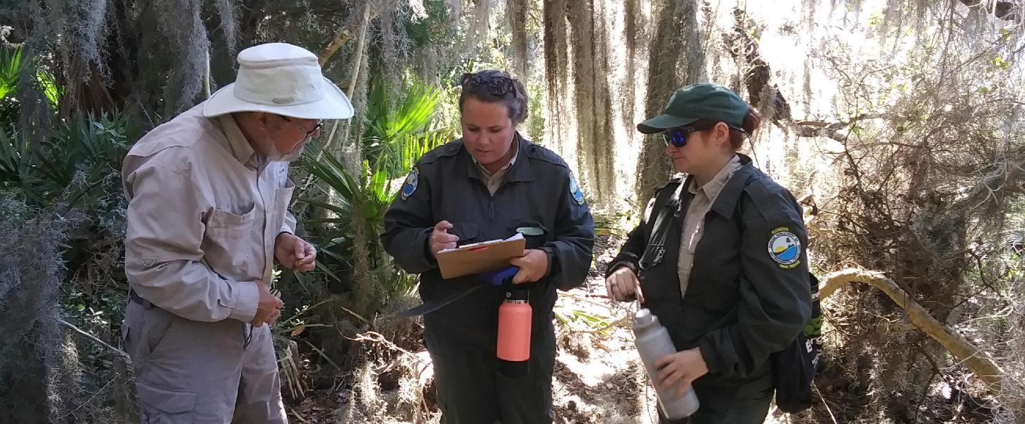 Cultural Site Monitoring