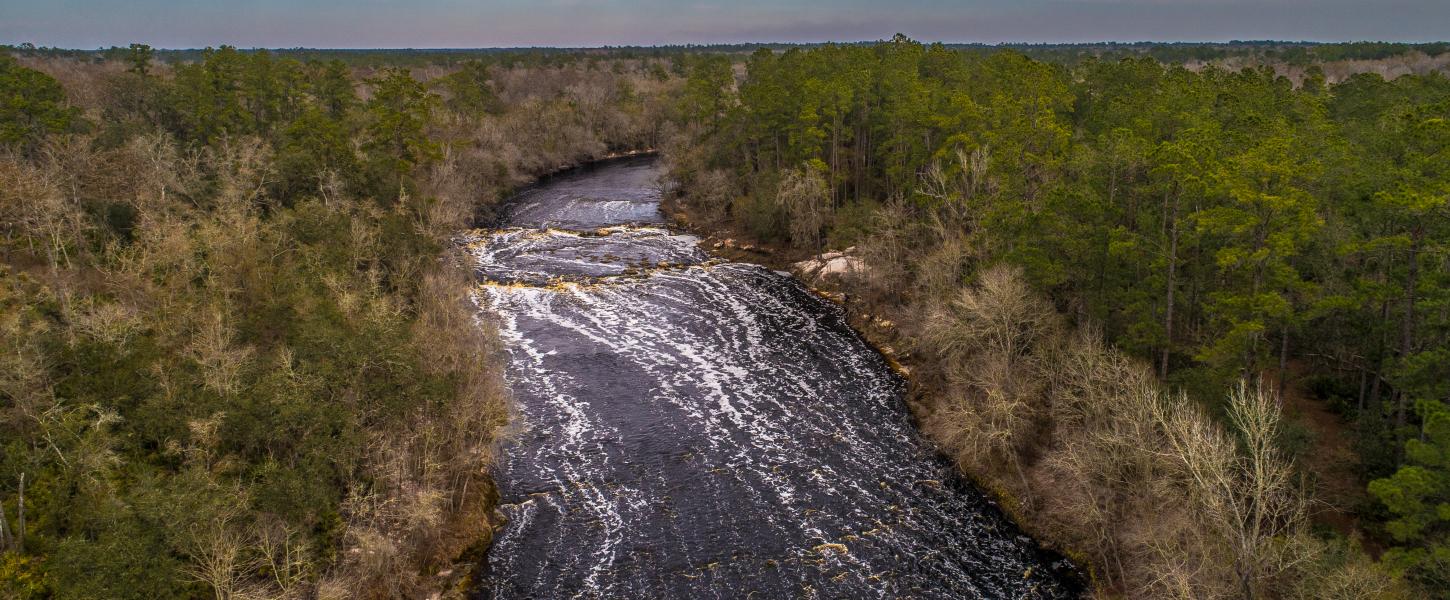 Big Shoals State Park | Florida State Parks