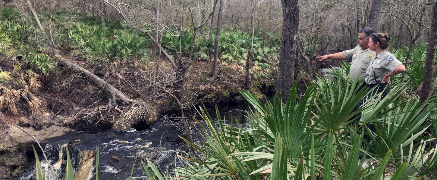 Big Shoals State Park