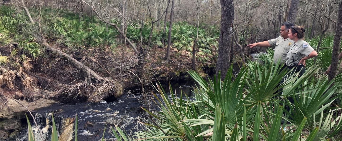  Big Shoals State Park