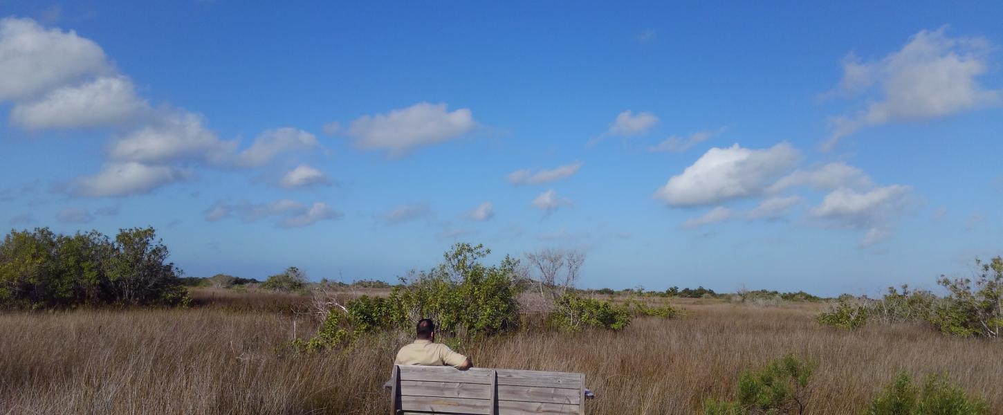 A view of the Black Rail trail.