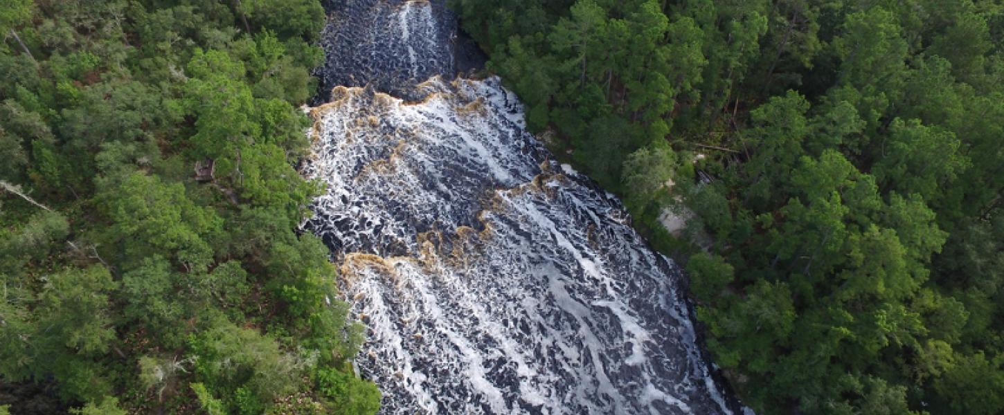 Big Shoals aerial