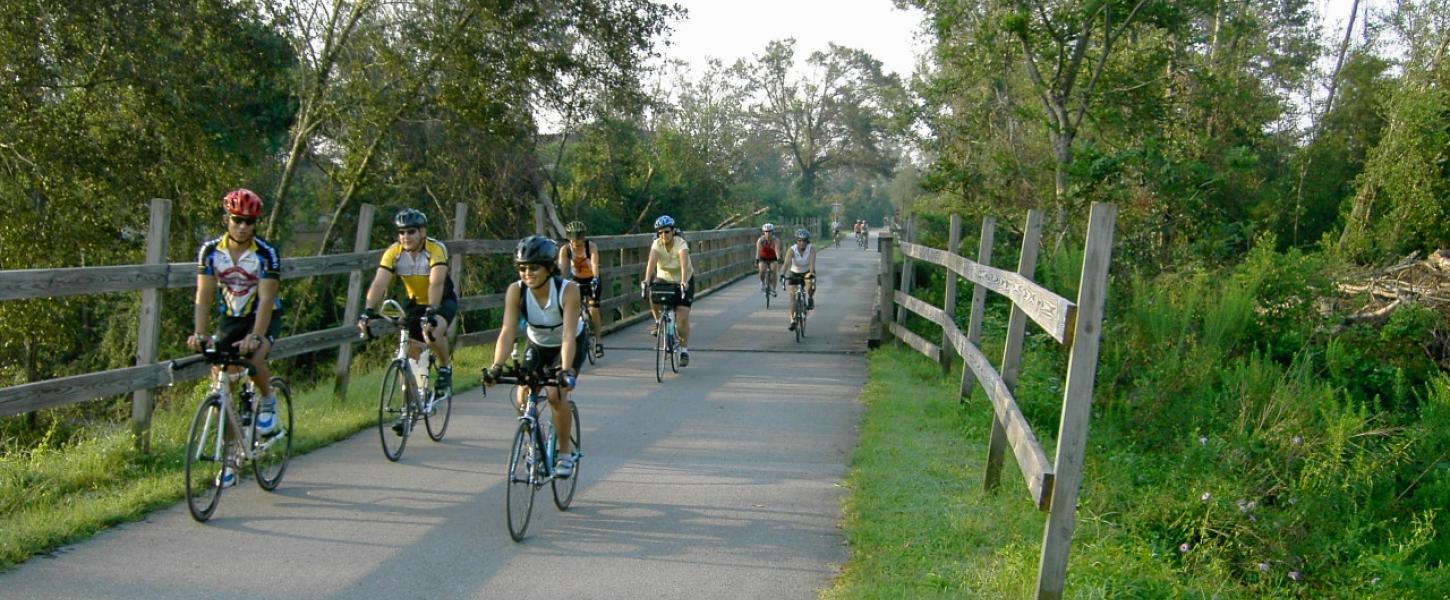 A view of a group biking down the trail