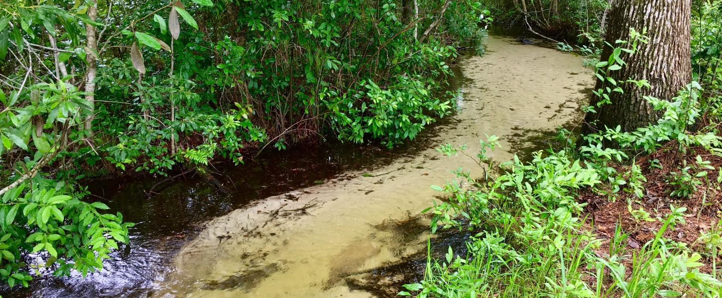 Ravine with clear water