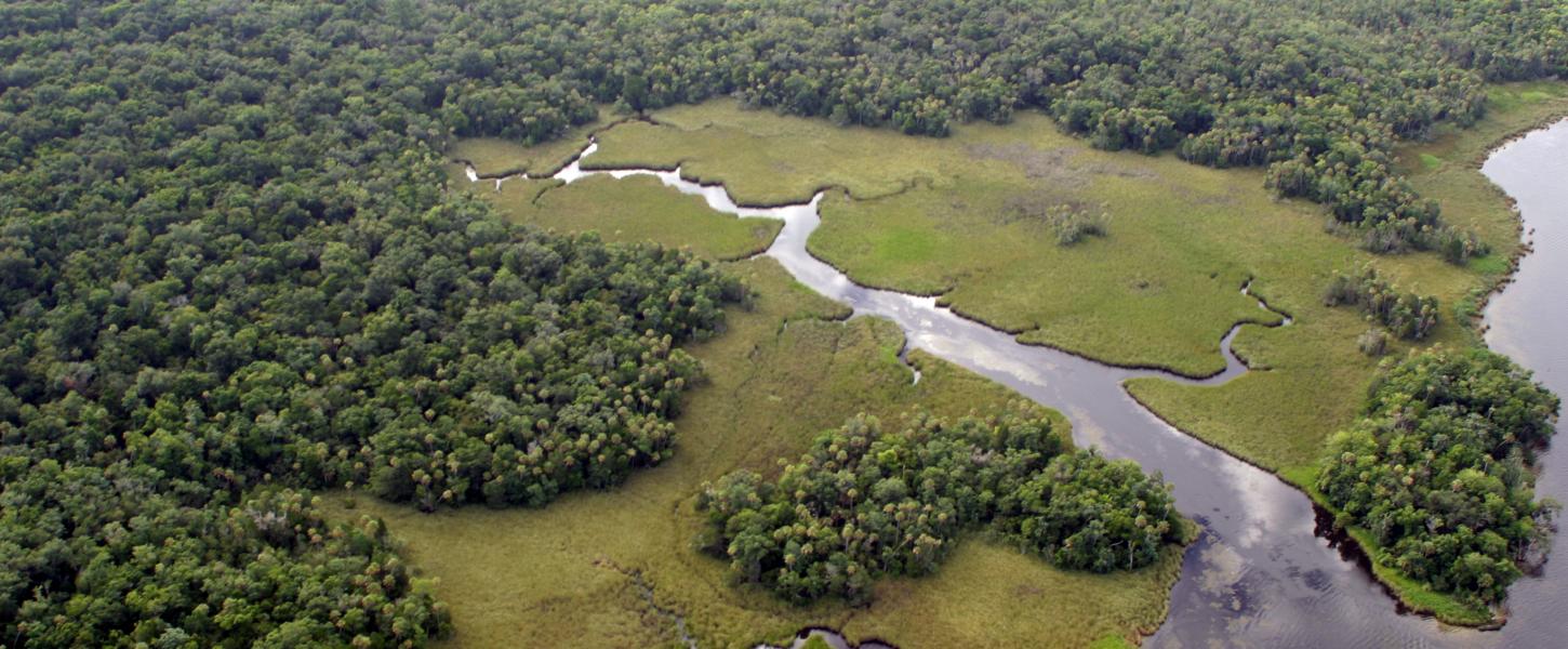 Crystal River Preserve Arial Image