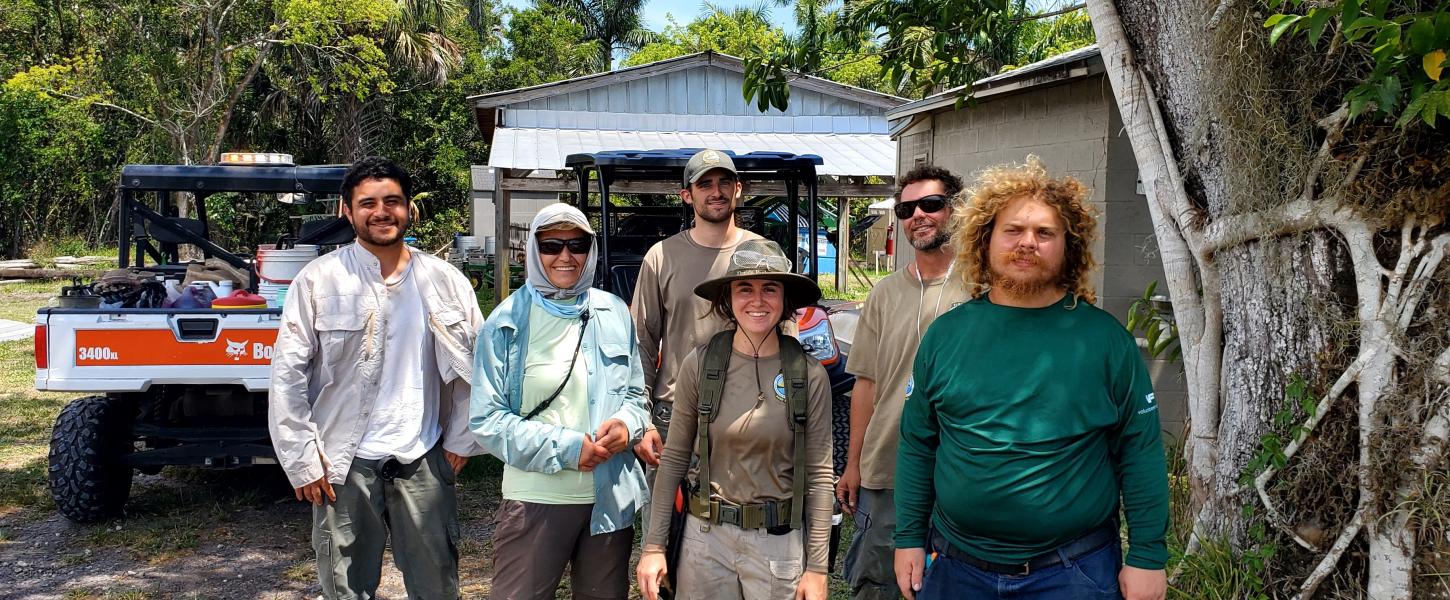 Resource management techs out in the woods treating invasive plant species.