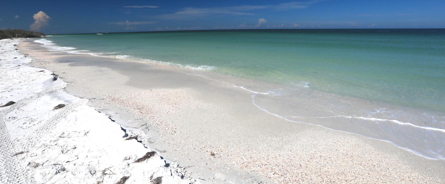 The beach at Caladesi Island State Park.