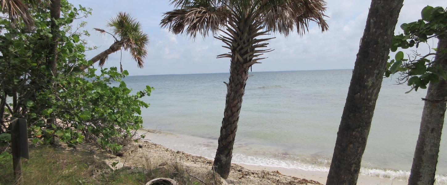 Cayo Costa State Park Florida - Cayo%20Hero%20Image.JPG