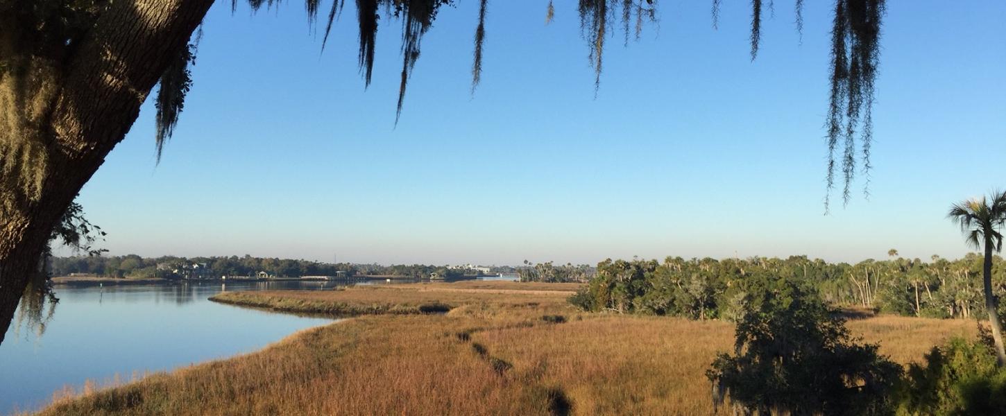 Crystal River Archaeological Park View