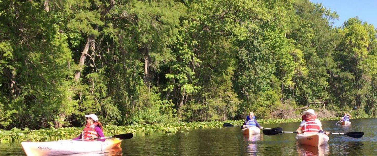 Four kayaks are in the water with trees in the background. 