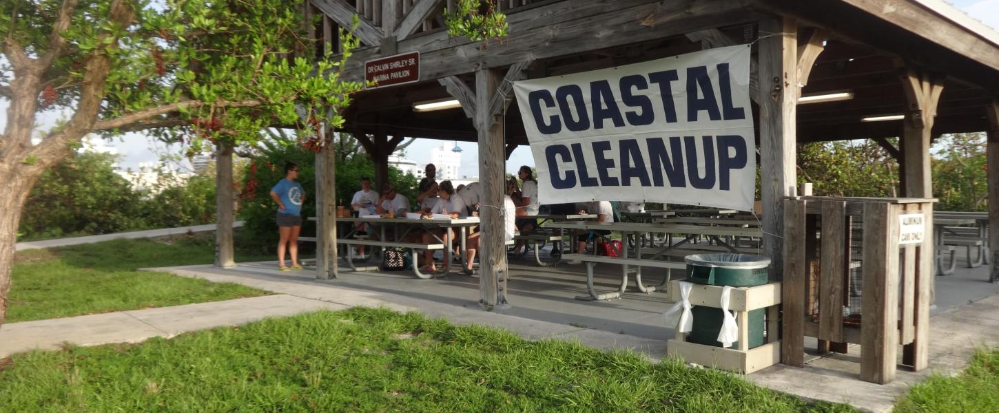 Coastal Cleanup Efforts