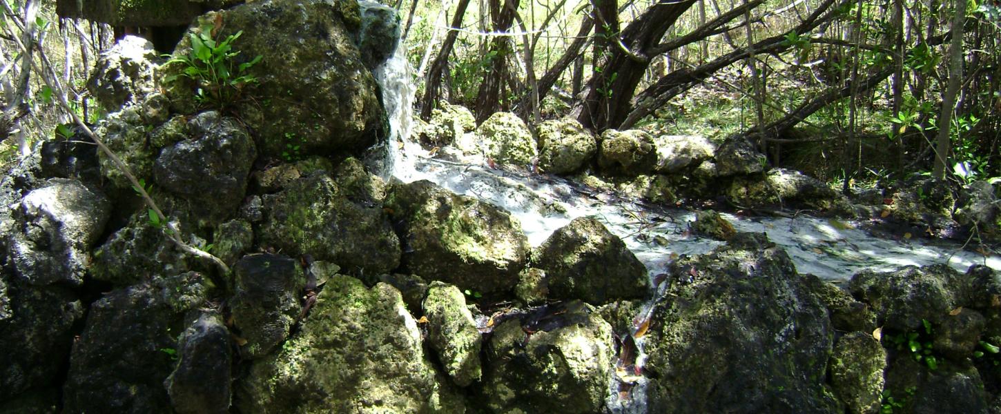 A view of the flowing well.