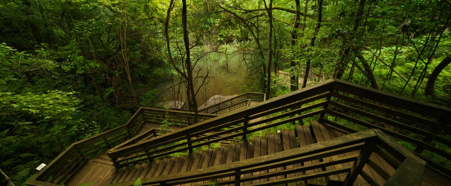 Devil S Millhopper Geological State Park Florida State Parks