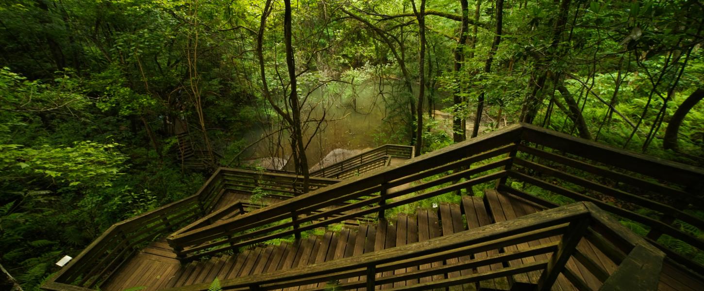 Devil's Millhopper