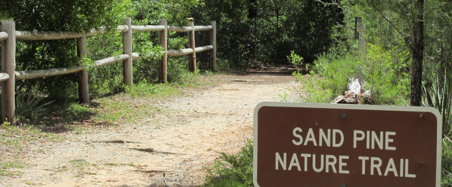 Hiking, Trails