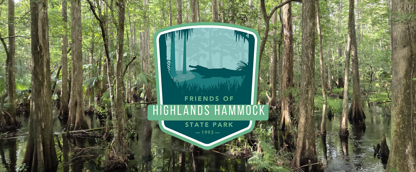 A logo in front of cypress trees in a swamp. 