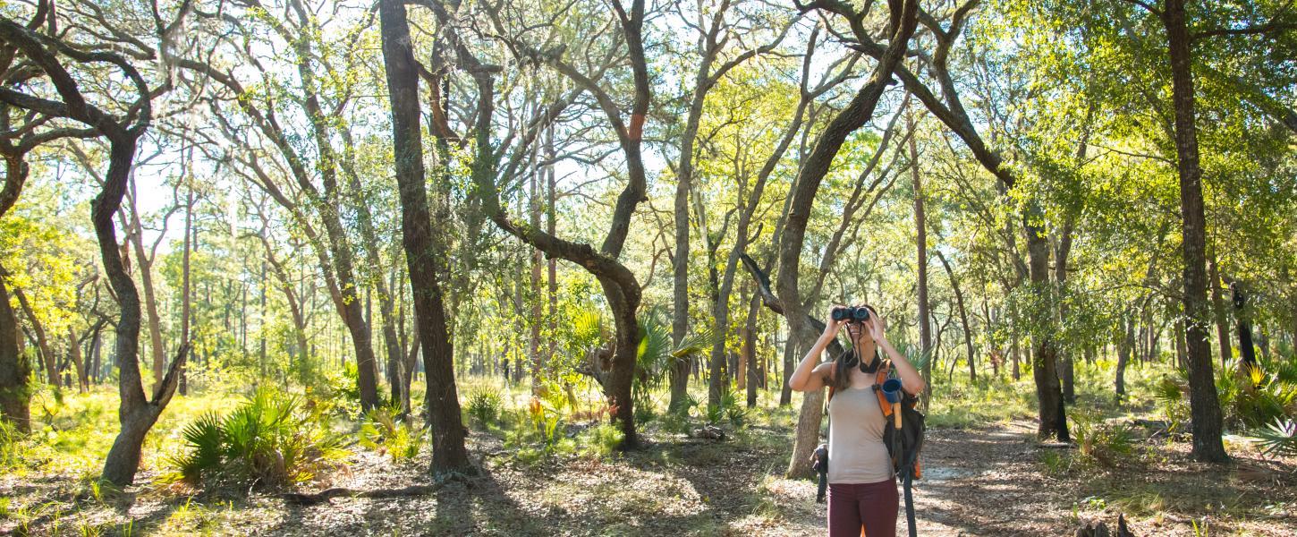 Woman hiking at Wekiwa looking through binoculars 