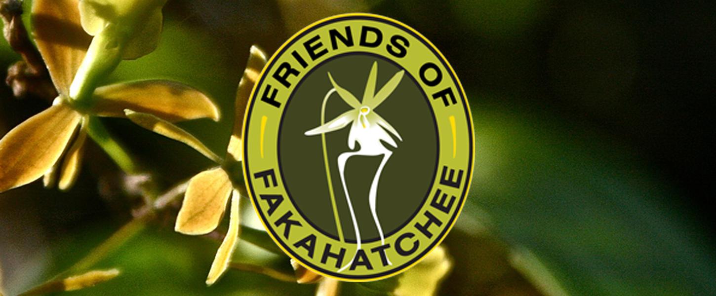 Friends of Fakahatchee Strand Preserve State Park