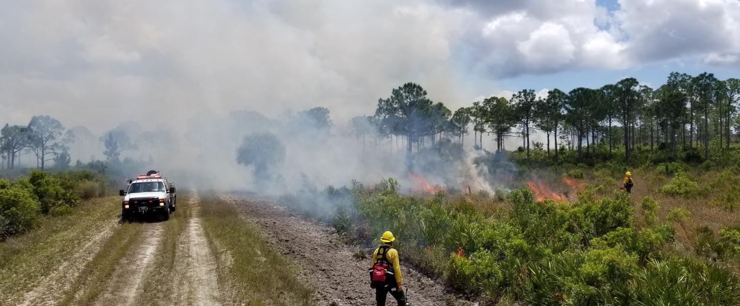 A view of the smoke from a prescribed fire.