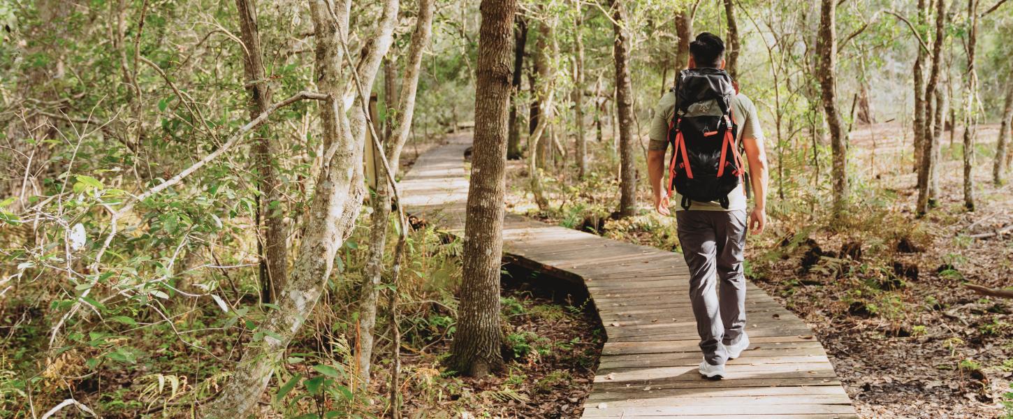 A man hiking along a boardwalk through a forest. 