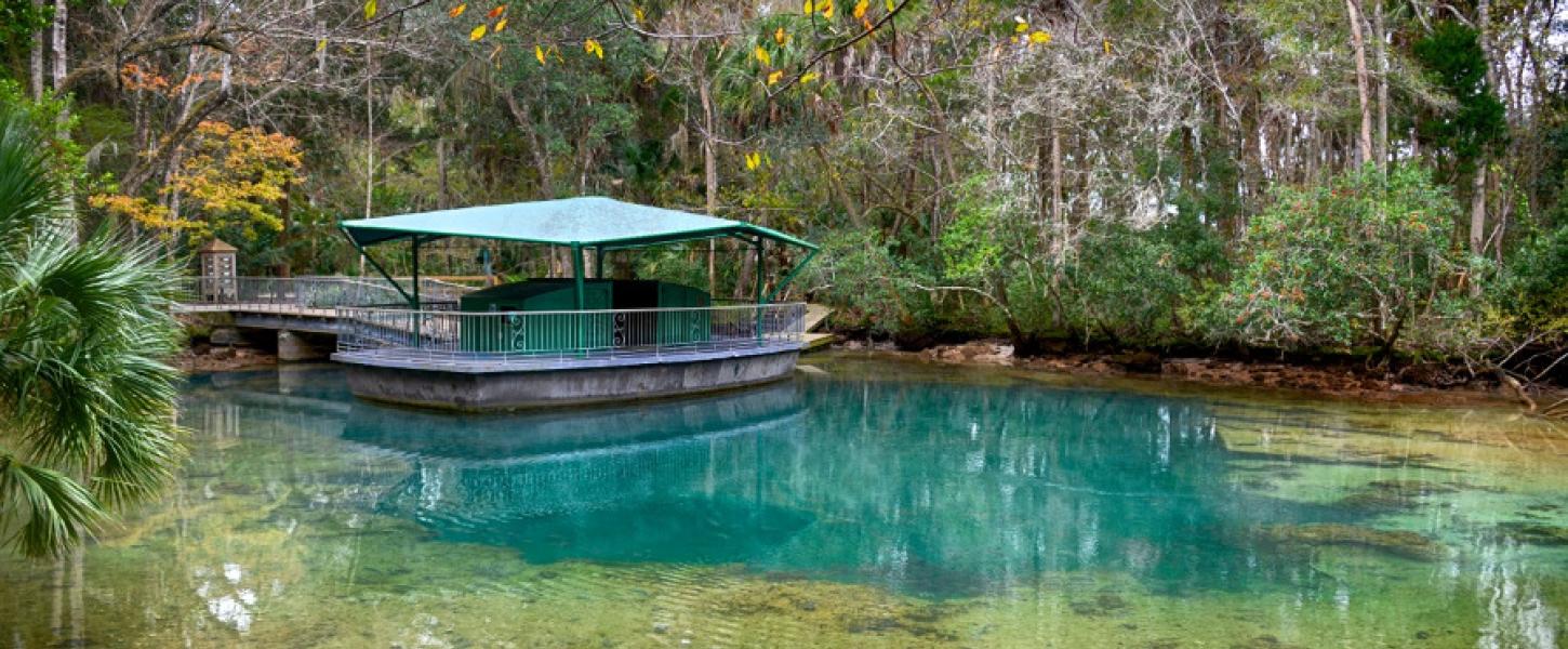 Image of the underwater observatory and first magnitude springs at Homosassa Springs State Park.