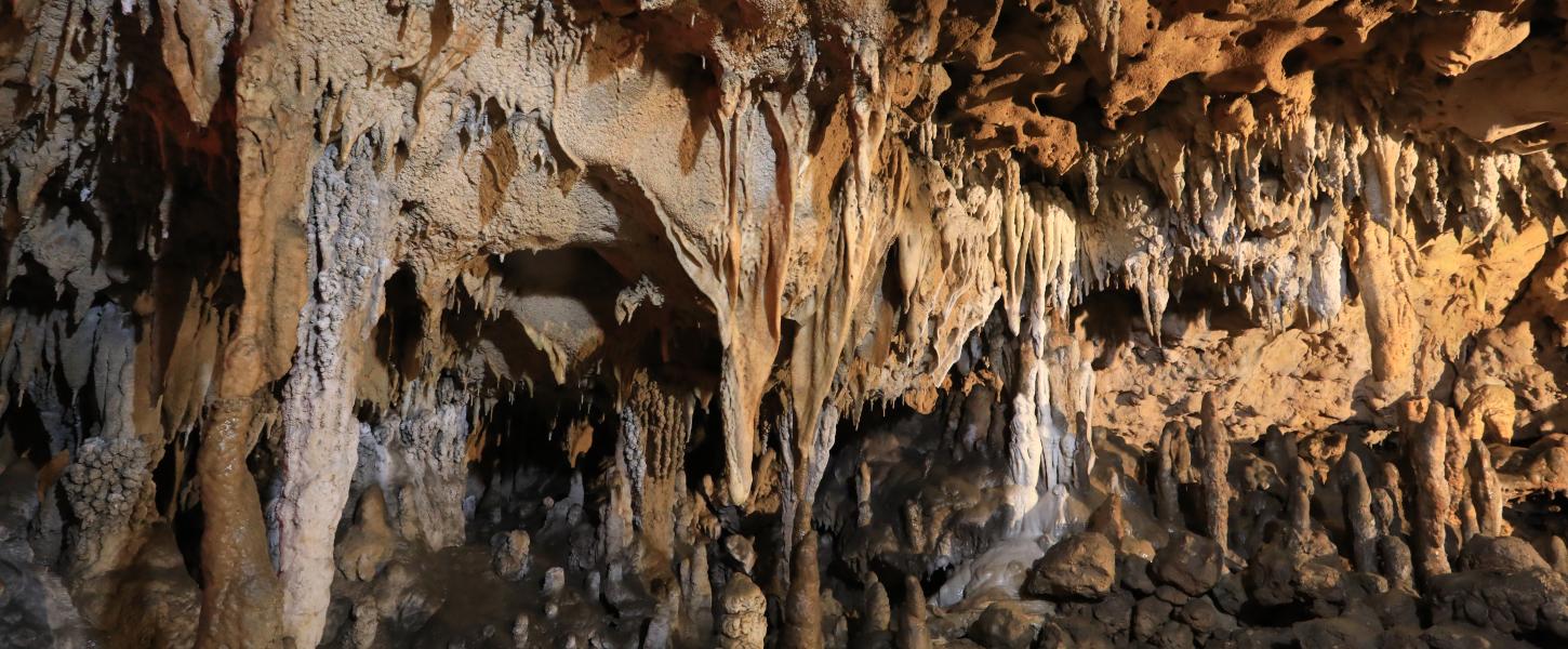 Florida Caverns Geology