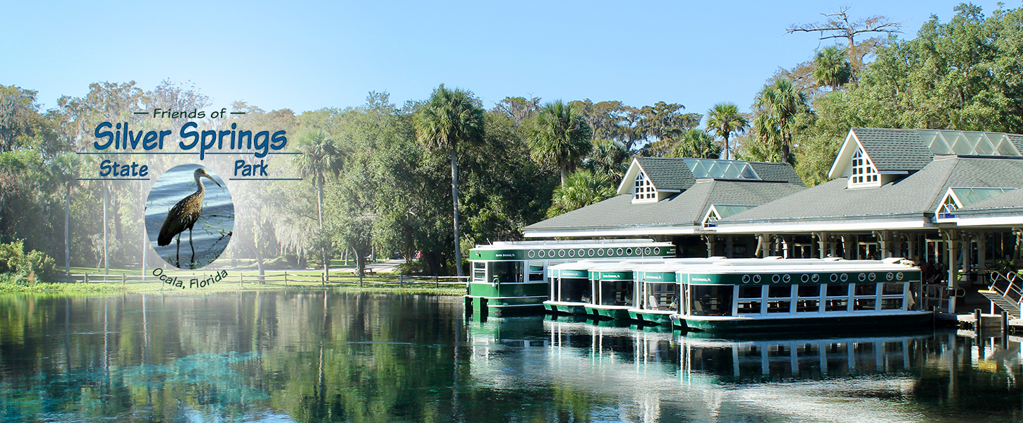 The glass bottom boat dock at Silver Springs State Park with the spring in the foreground and the forest and walkways in the background. The Friends of Silver Springs State Park logo is superimposed over the left side of the picture. 