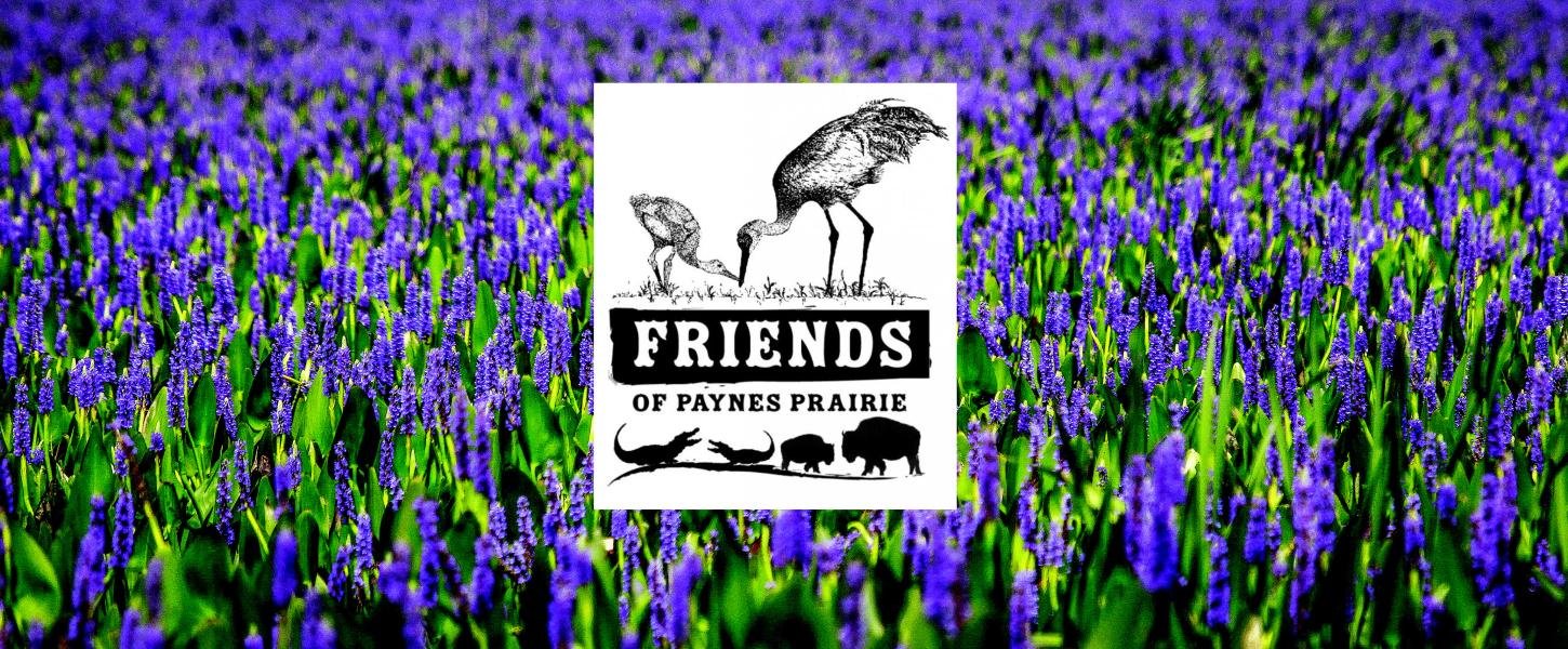 Friends of Paynes Prairie Preserve State Park