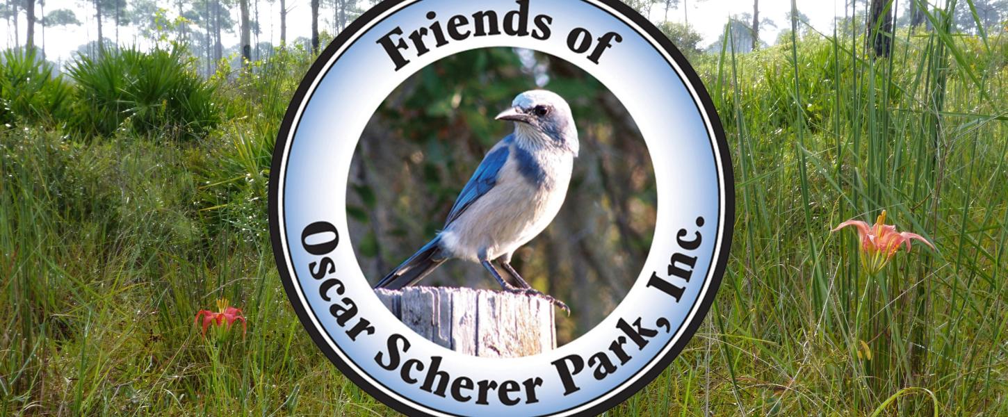 Friends of Oscar Scherer State Park