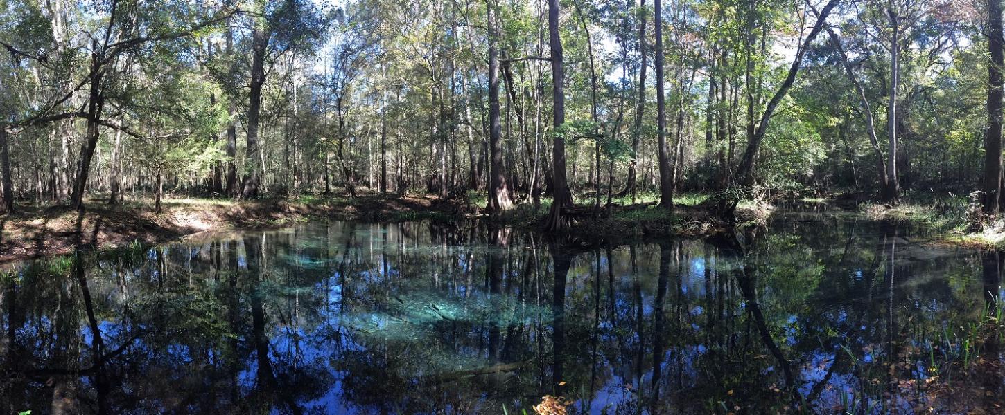 Naked spring at Gilchrist Blue State Park with forest in the background