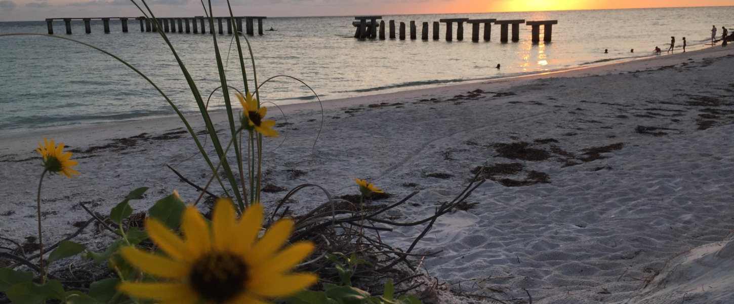 Gasparilla Island State Park