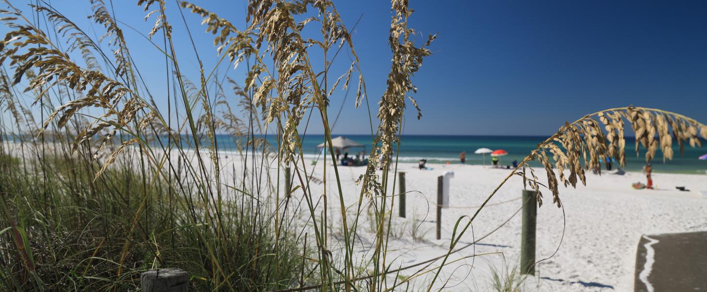 Beaches At Grayton Beach Florida State Parks