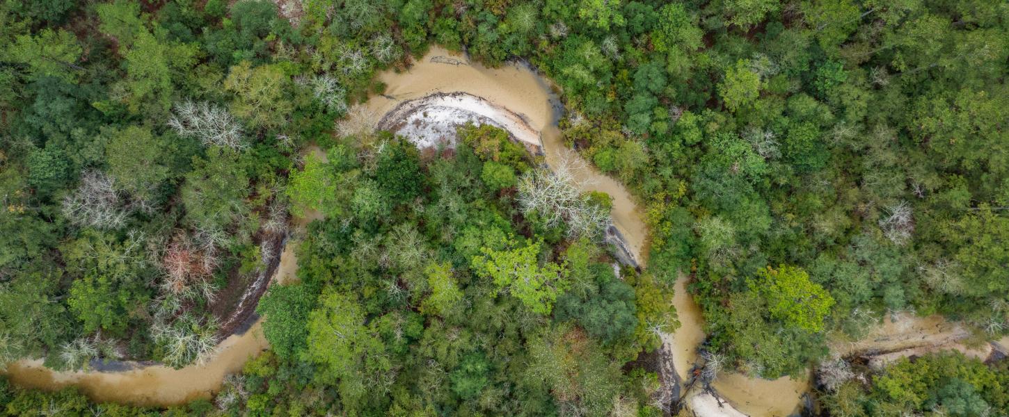 An aerial view of a shallow creek running through a forest. 