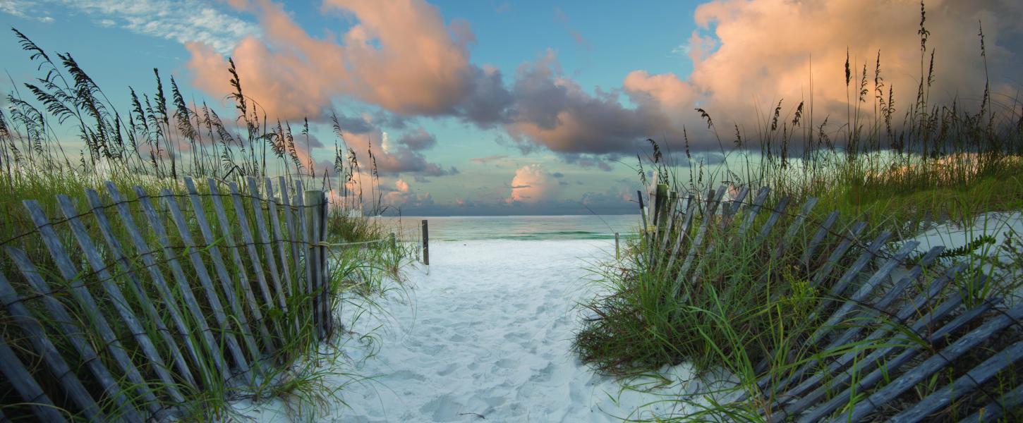 Enterance to the beach with dune fencing visable