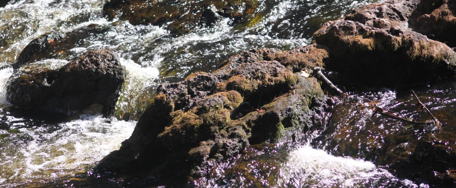 A view of the rapids.