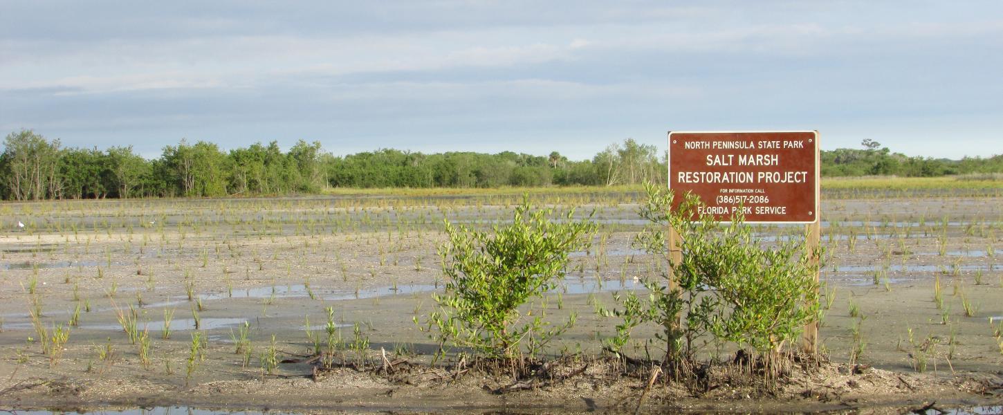 Salt Marsh Restoration at North Peninsula State Park