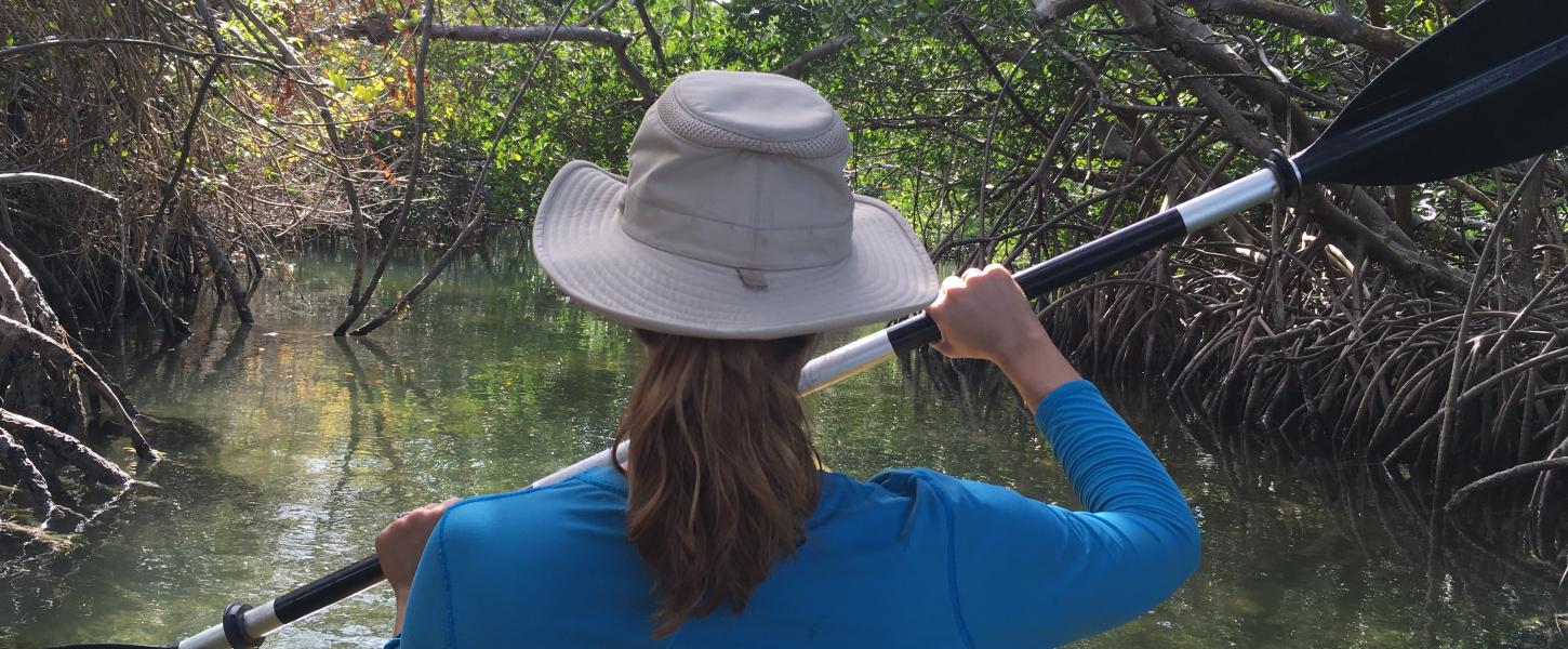 Kayaking in a Mangrove Channel at Lignumvitae Key State Park