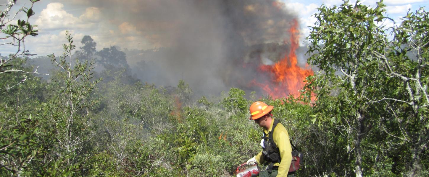 Prescribed fire at Catfish Creek scrub