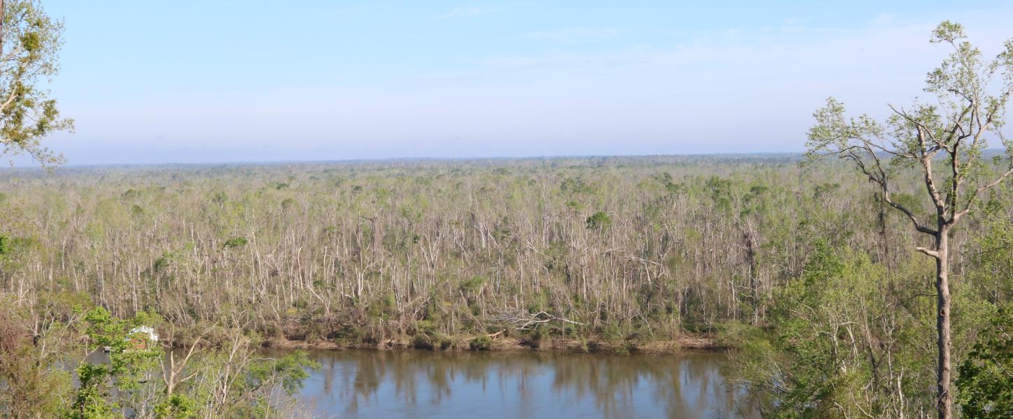 A view of the river at Torreya from atop a hill