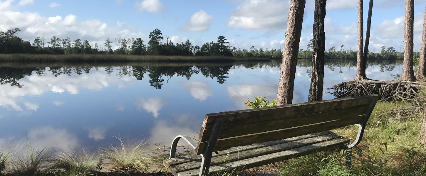 Ochlockonee River State Park