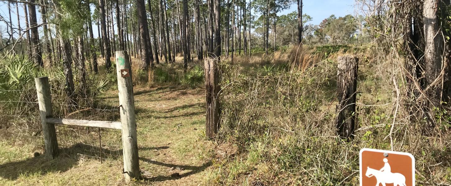 Equestrian Trail head at Rock Springs Run