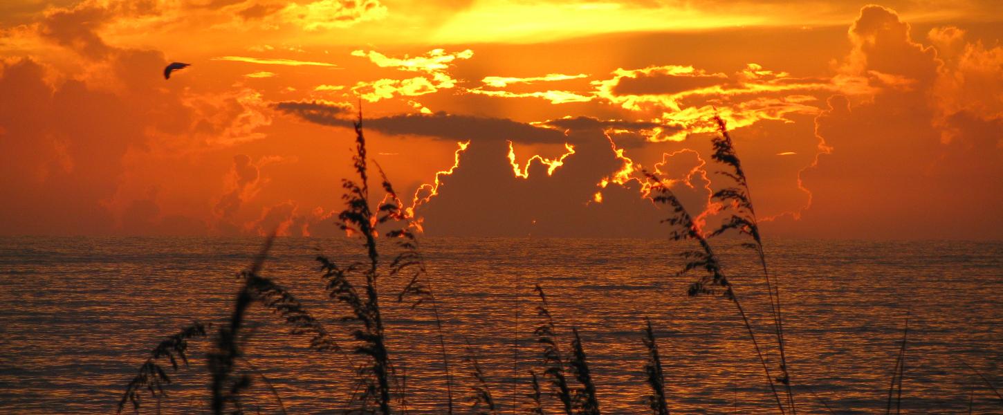 Indian River Lagoon Preserve State Park