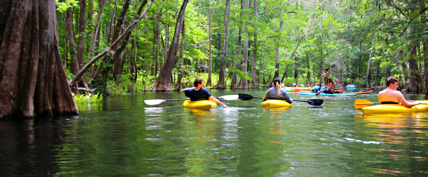 Ichetucknee Springs