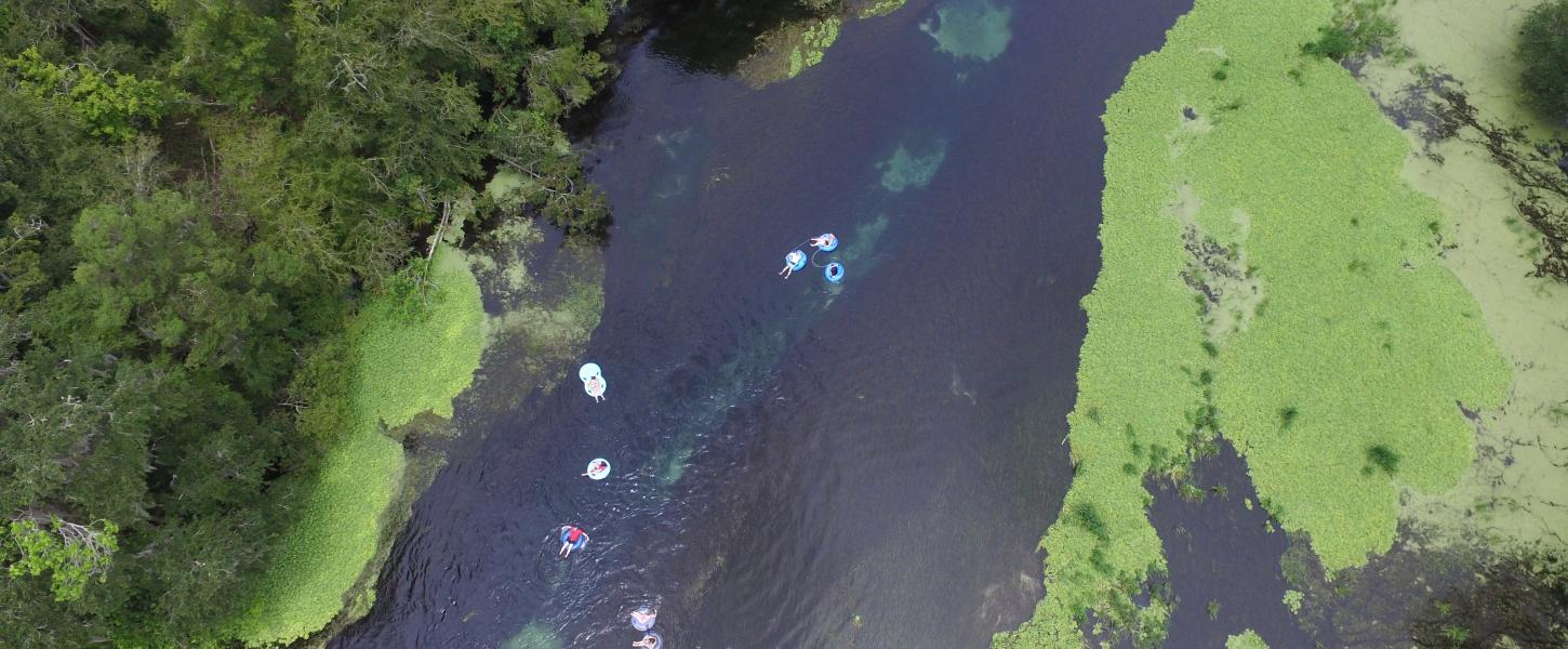 Ichetucknee Springs