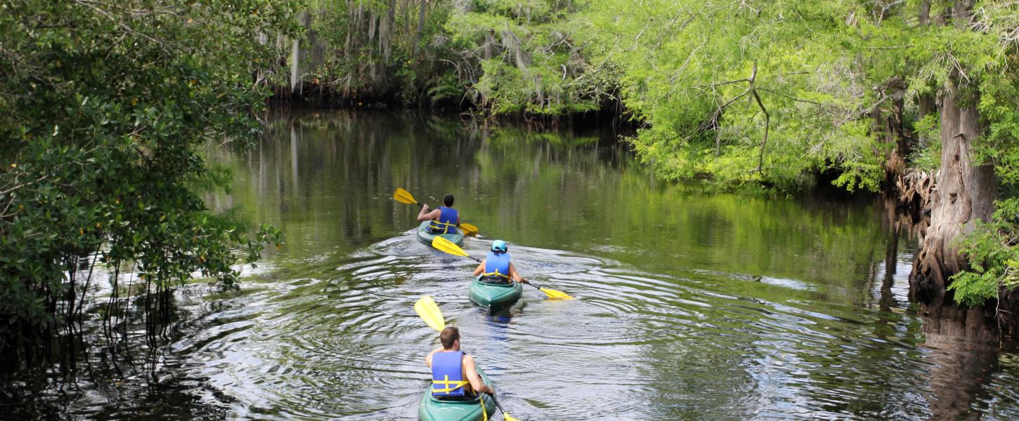 Paddlers at Jonathan Dickenson State Park