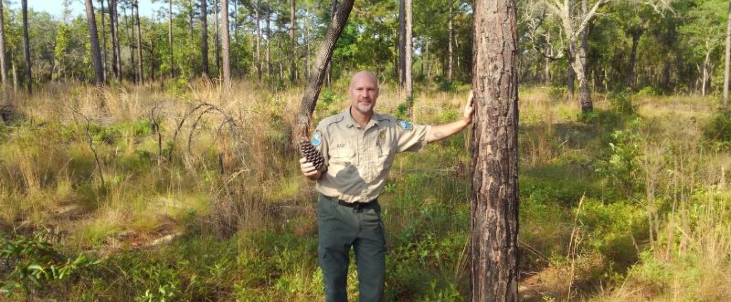 a man in uniform stands in a pine forest holding a pinecone and smiling